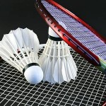 Badminton Spring 2022